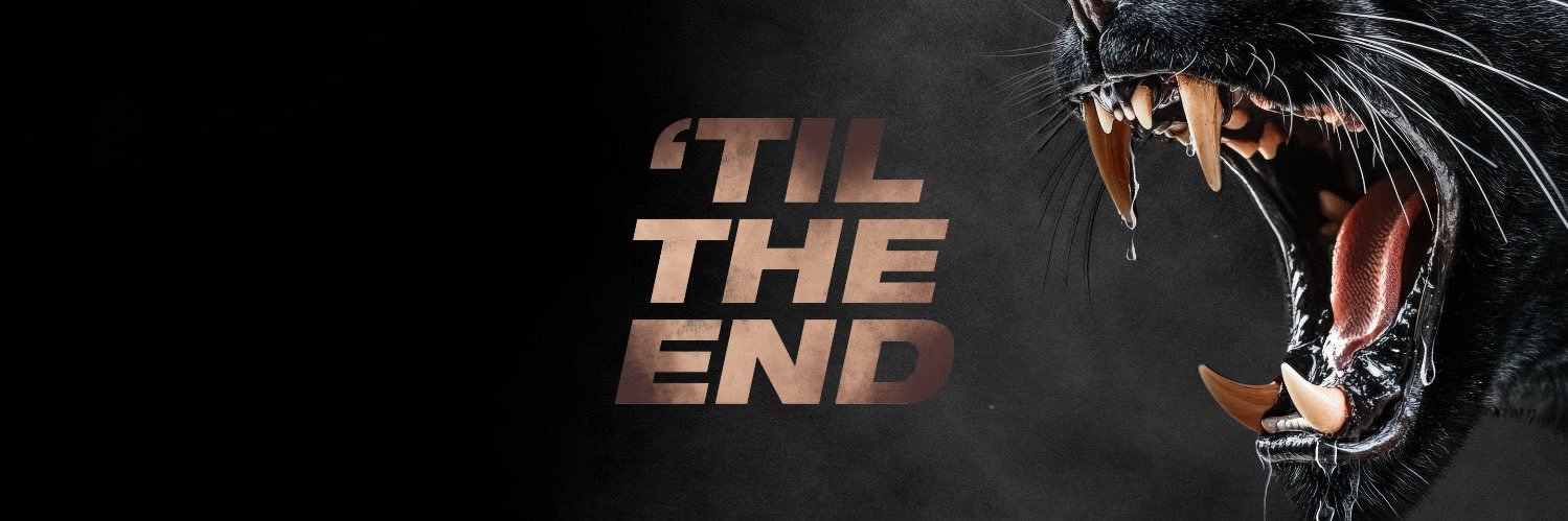 Matt banner