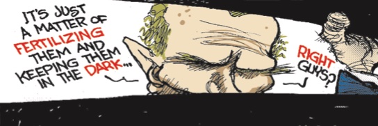 M K banner