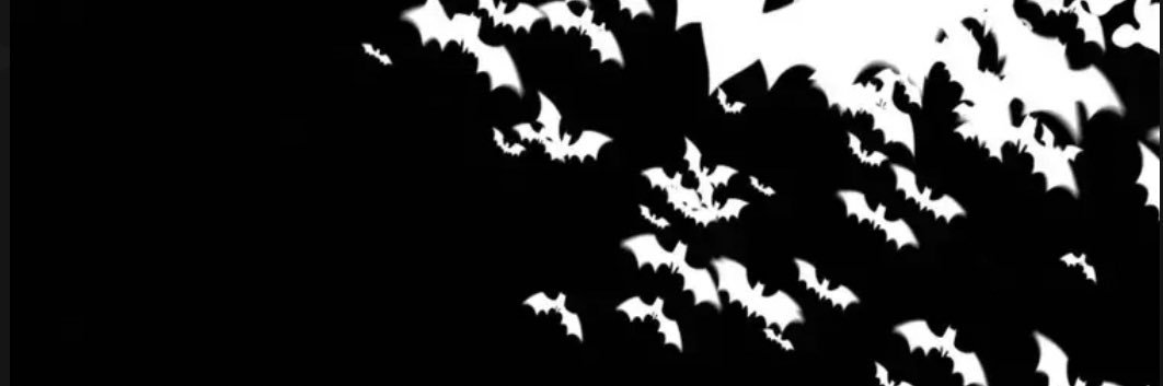 SAINTQUINT banner