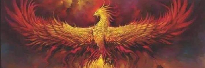 NaayaSamuel6's profile banner image