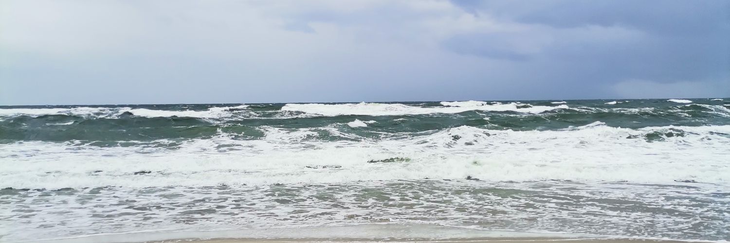 sand__rose's profile banner image