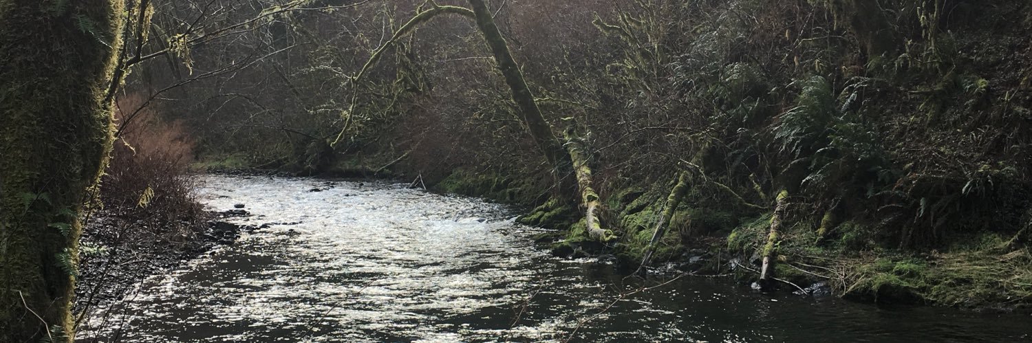 duncanbr's profile banner image