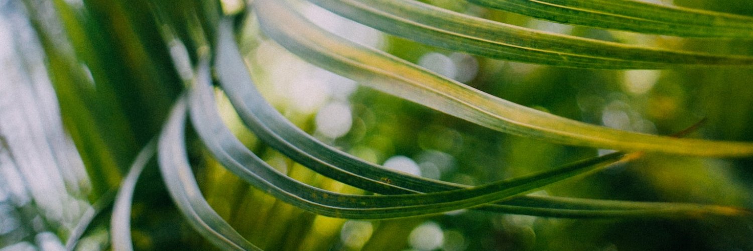 rominafa_'s profile banner image