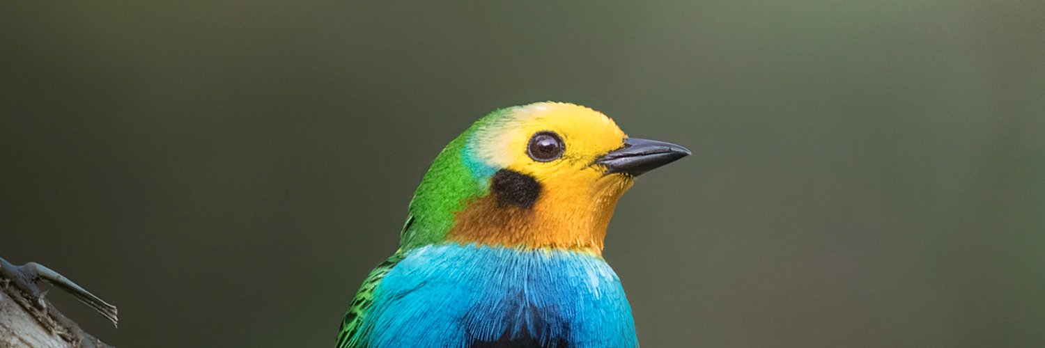 fe_photo_'s profile banner image