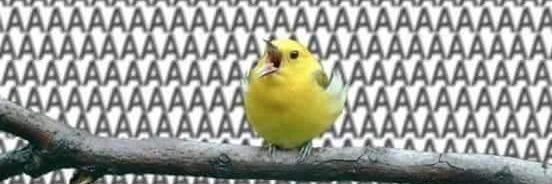 Captain Repré banner