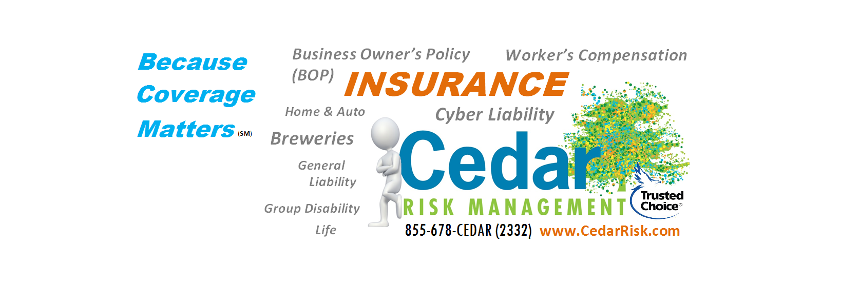 CedarRisk's profile banner image