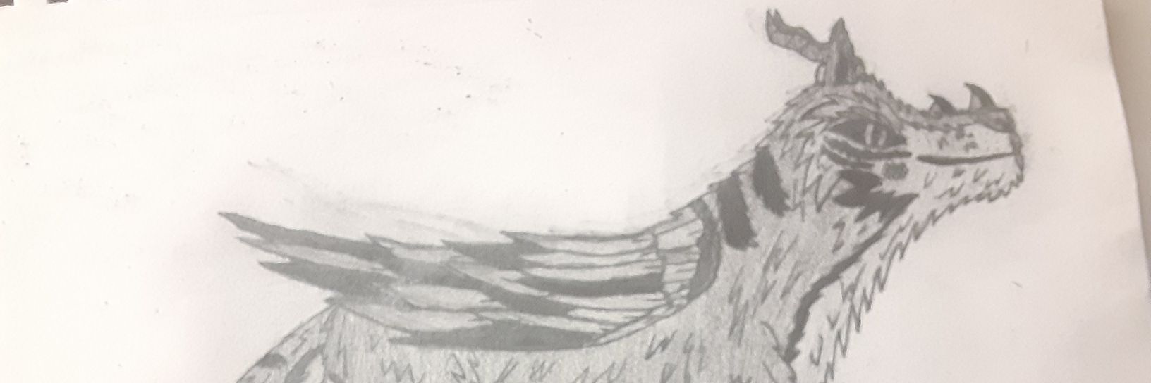wolfdragon_95's profile banner image