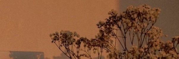 𝘀𝗵𝗼𝘁𝘀۶ৎ ̊ banner