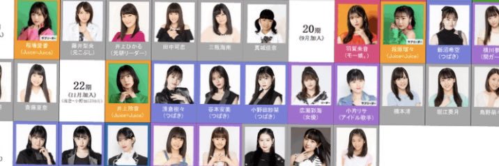 シノピー banner