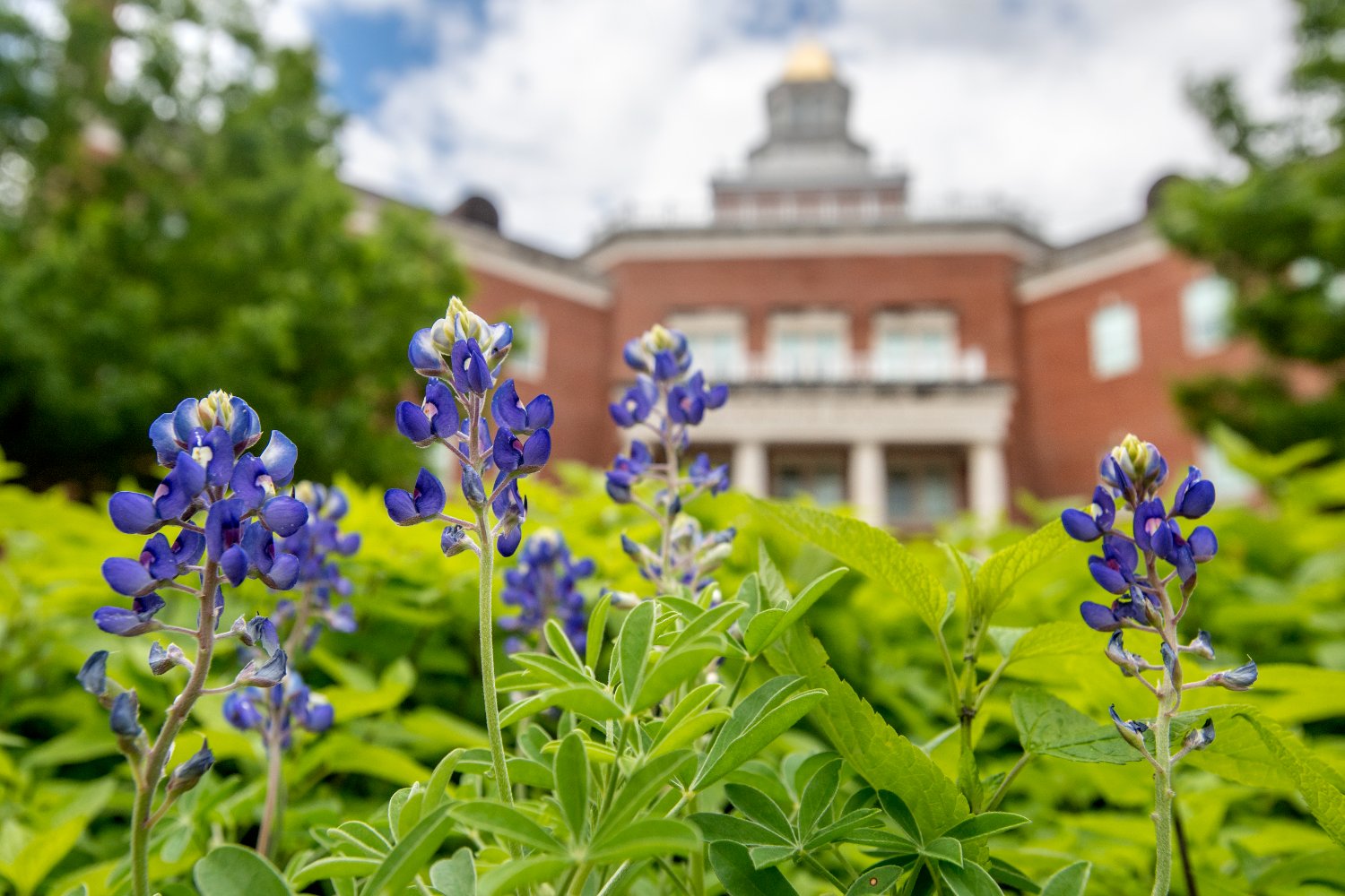 SMU Lyle School of Engineering banner