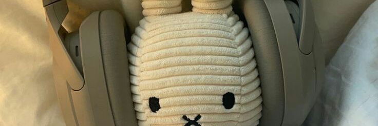 Hi, ini niu🌺🩷 banner