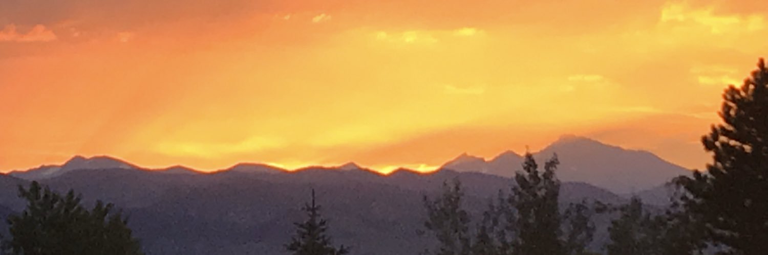 attucci100's profile banner image