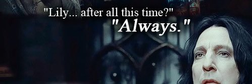 Maprunel's profile banner image