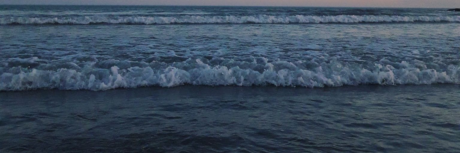 FioGodoy5's profile banner image