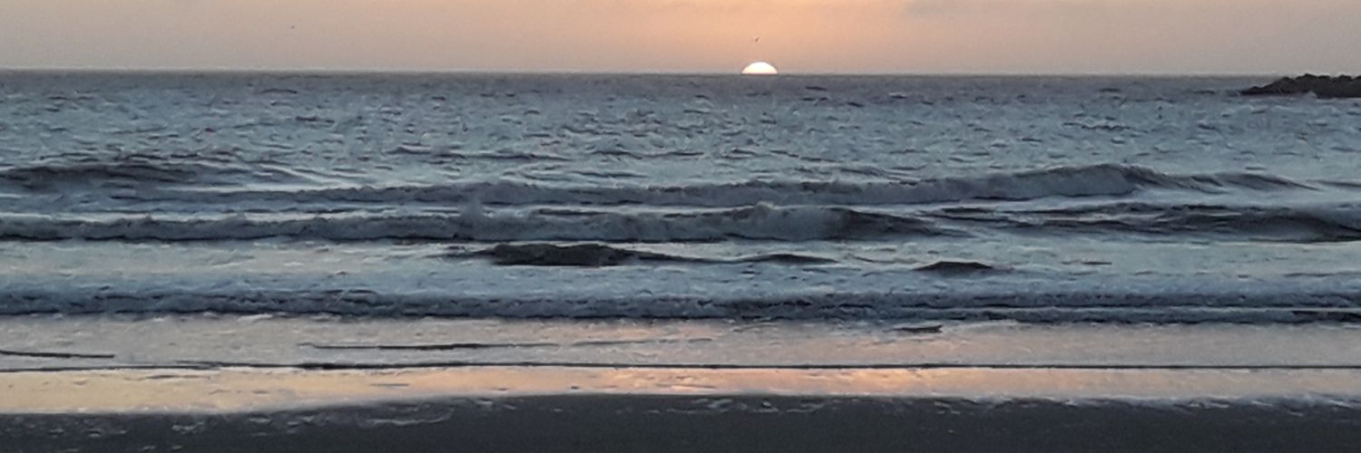 andresfala's profile banner image
