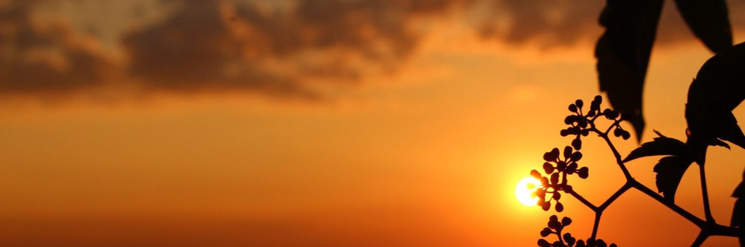 BilalBaba9's profile banner image