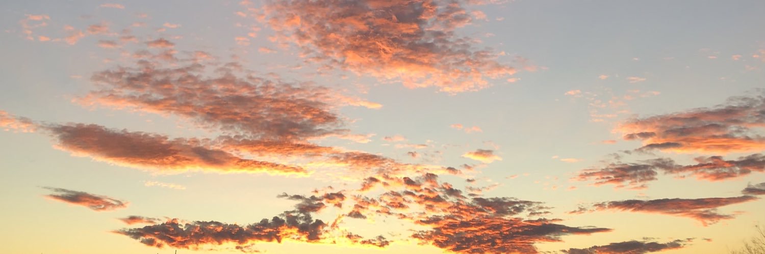 Roxane McMeeken banner