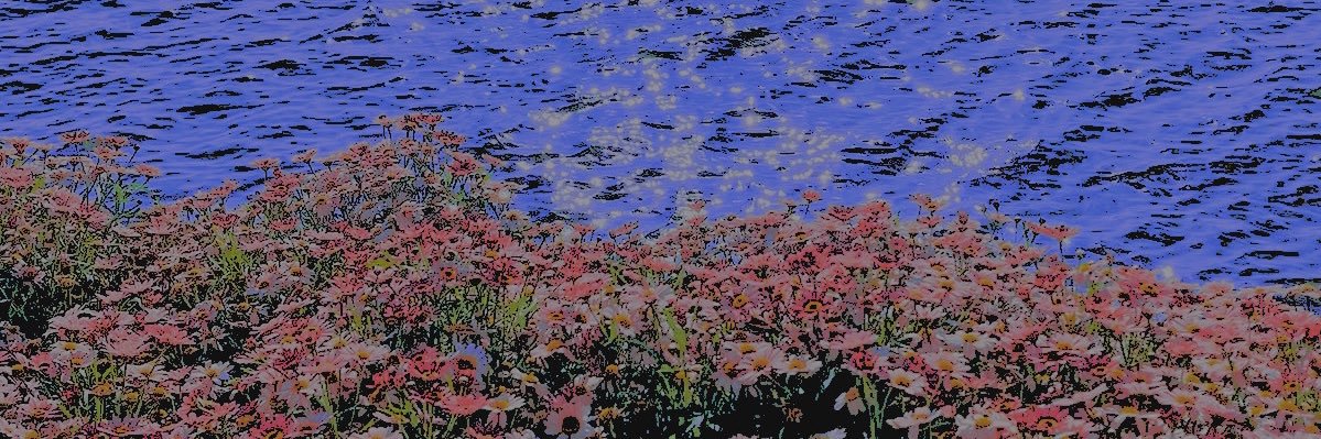 𝓜𝑉𝑅𝑃‘𝑆 𝐹𝐿𝑂𝑊𝐸𝑅 𝑆𝐻𝑂𝑃 .'s banner