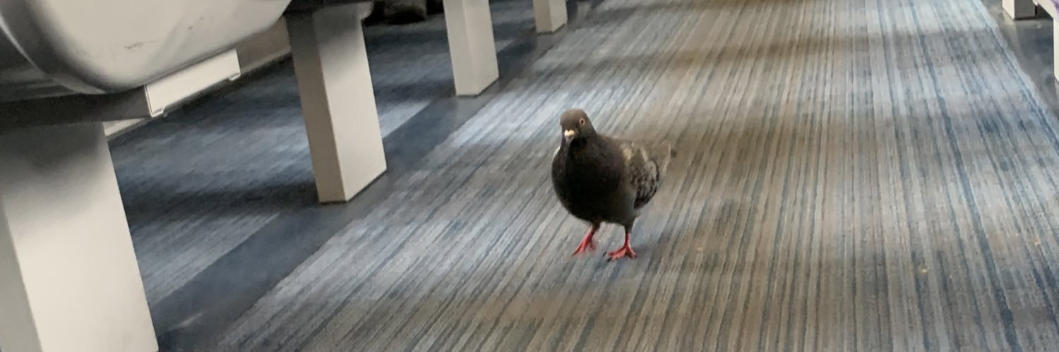 Lewis Goodall banner