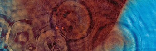 posts that echo banner