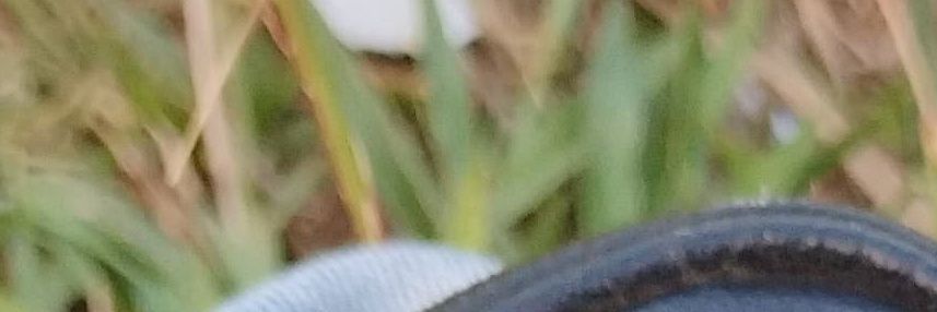 star^ banner