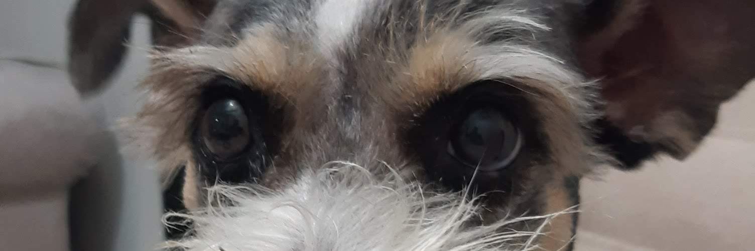 MaryAlyToBar's profile banner image
