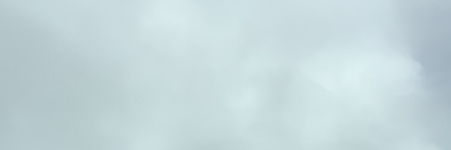 _tretaylor's profile banner image