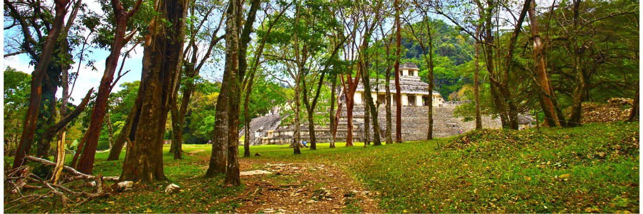 Raul Rodriguez B banner