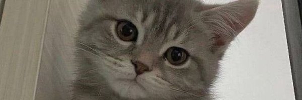 1xPlayerOne Profile Banner