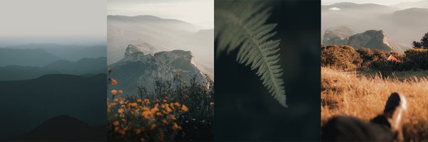 Alessvisuals Profile Banner