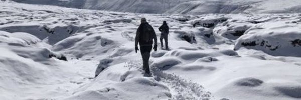 cheepcheepbird Profile Banner