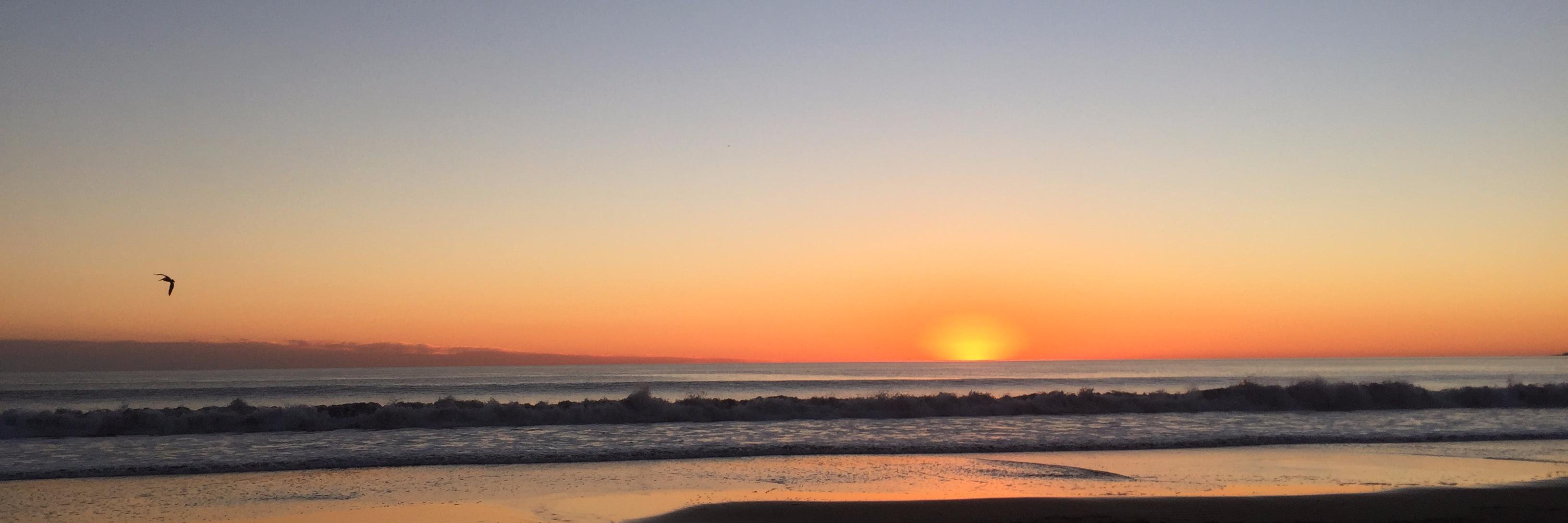 Craig Vachon [son of immigrants] banner