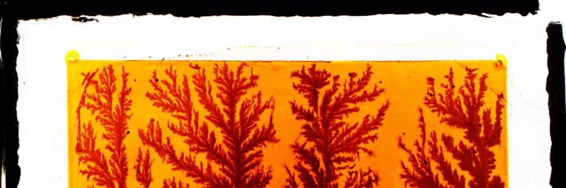 Janne Halme banner