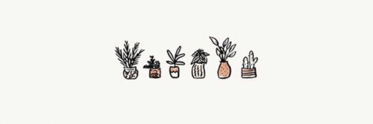 beedettlinger's profile banner image