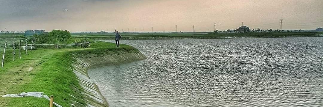 najatdvm's profile banner image