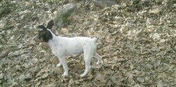carlossecogilo1's profile banner image