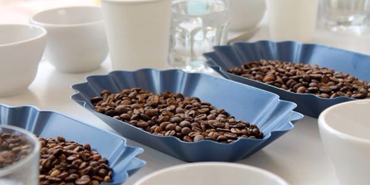 amsroasters's profile banner image