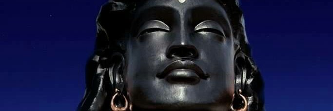 Man in the sky banner