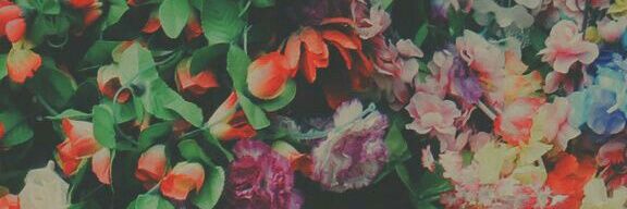 OrneRicchi's profile banner image