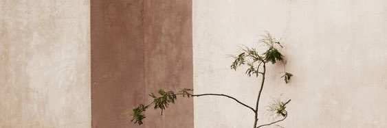 designedby_olya's profile banner image