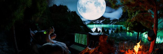 Kyuubi_Fox32's profile banner image