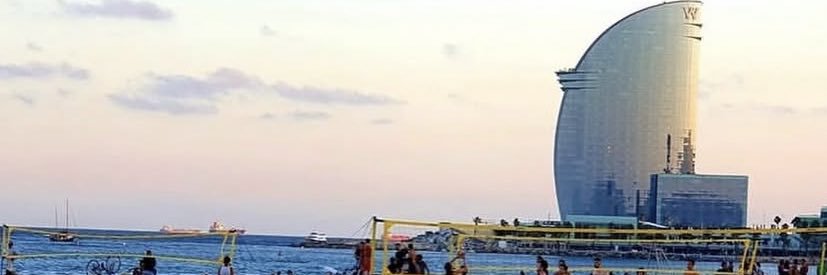 mfepecci's profile banner image