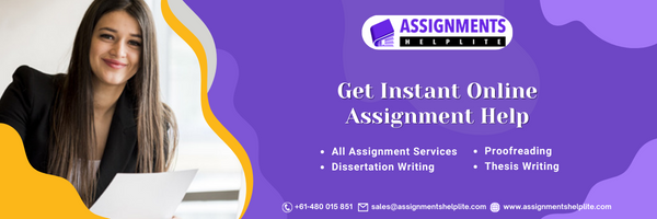 AssgmntHelpLite Profile Banner