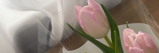 vee banner