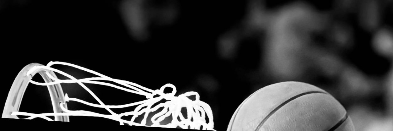 Rudy and Sergio The Spanish Connection's banner