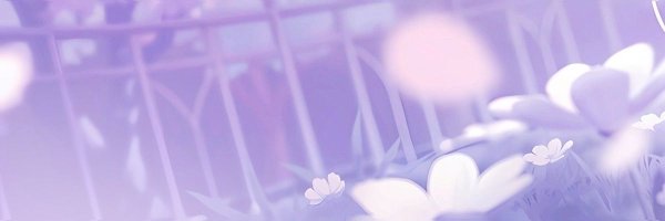 Sean7282008 Profile Banner