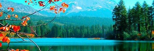 nurullah_cgc's profile banner image