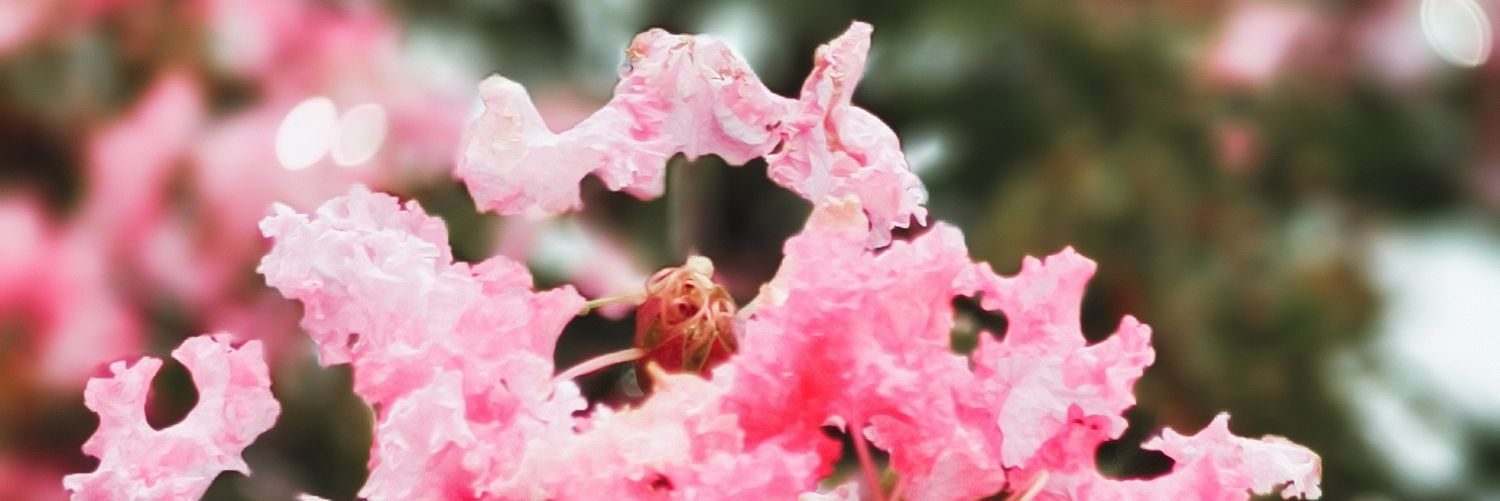 ABMKAYUM's profile banner image