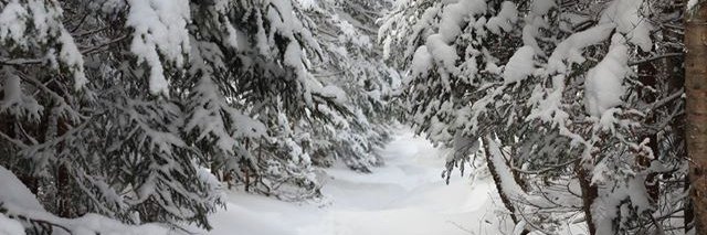UNHExtensionHC's profile banner image