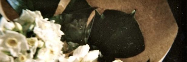 m banner